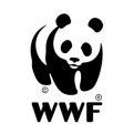 WWF 