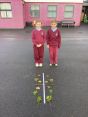 P4 love to learn