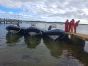 P7s speedboating today on Strangford Lough
